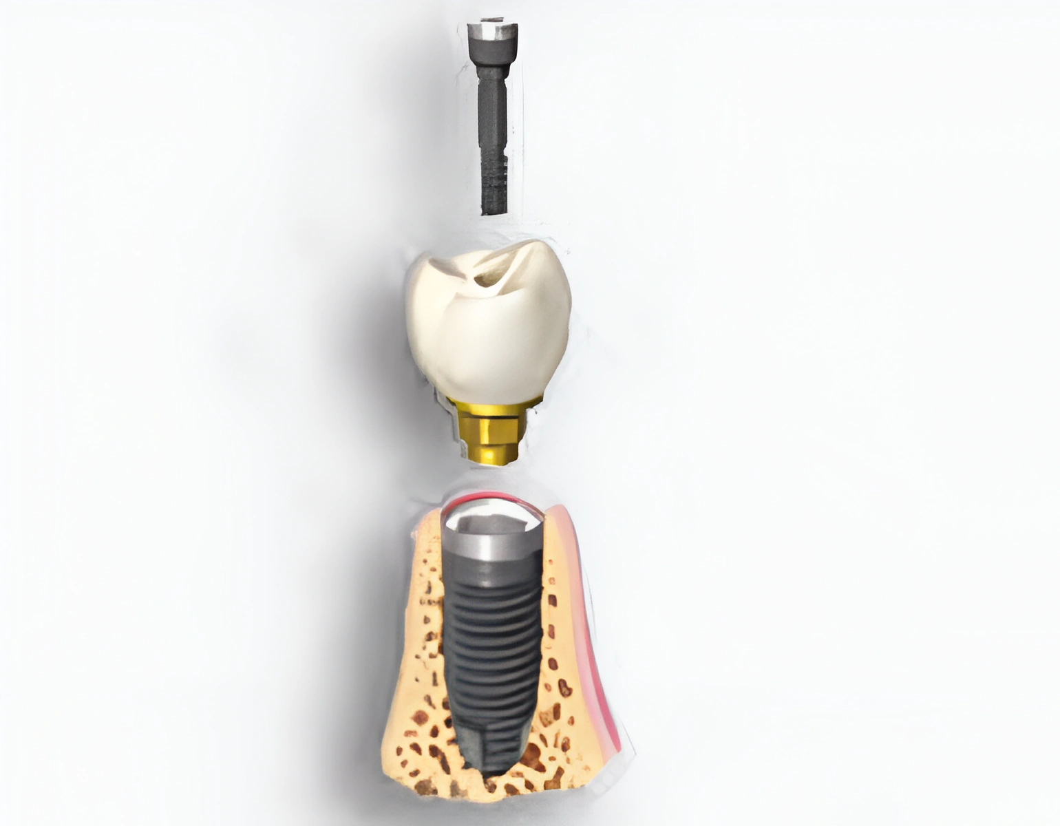 Screenshot 2026-02-25 at 8,03,02 PM-Picsart-AiImageEnhancer